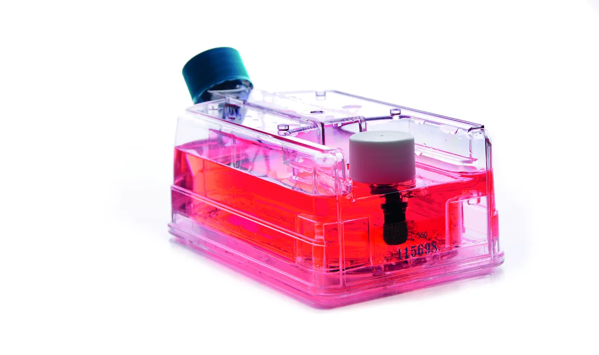 DWK WHEATON® CELLine™ 烧瓶