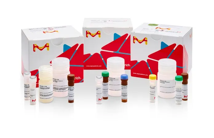 Sigma-Aldrich MMP-1 Inhibitor Assay Kit，足够进行 100 次荧光测定