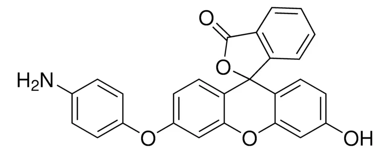 Sigma-Aldrich Aminophenyl-fluorescein，≥98%（HPLC）