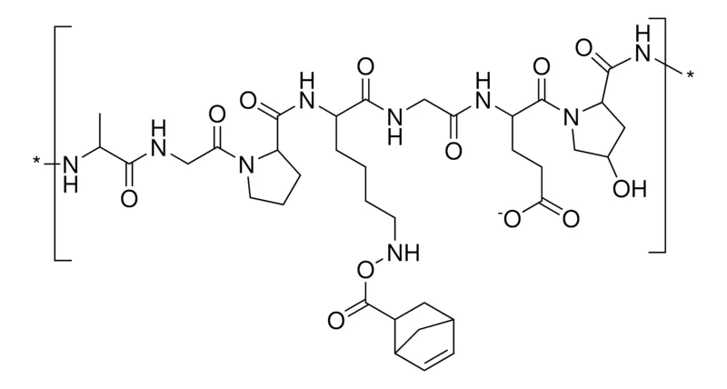 Sigma-Aldrich Gelatin norbornene