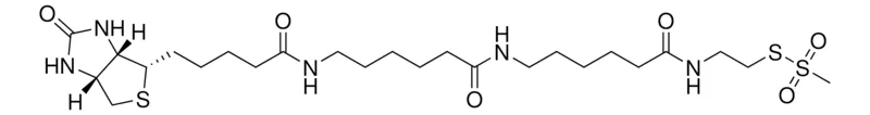 Sigma-Aldrich MTSEA-Biotin-XX，≥98%（HPLC），粉末，巯基反应性探针