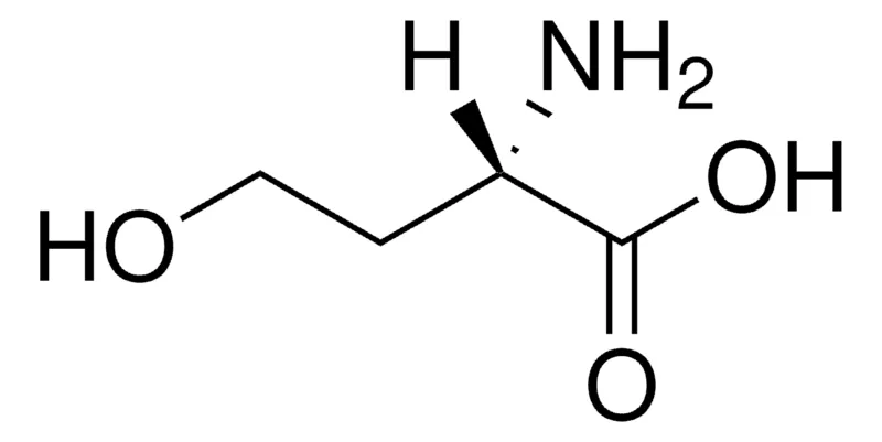 默克Supelco L -高丝氨酸,分析标准