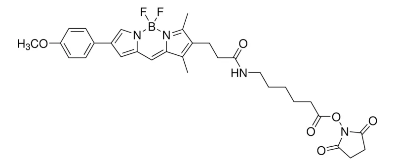 Sigma-Aldrich BODIPY-TMR-X NHS ester，≥95%（HPLC）