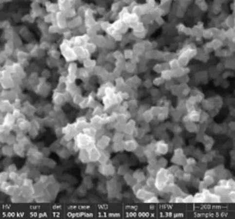 Sigma-Aldrich Ultra pure MagPrep® Wash Buffer 1,Magprep®核酸分离不需要蛋白酶K或加热步骤,无核酸酶(NICKase、RNase、DNase),无DNA,高通量兼容和手动