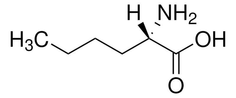 默克Supelco L-正亮氨酸,分析标准