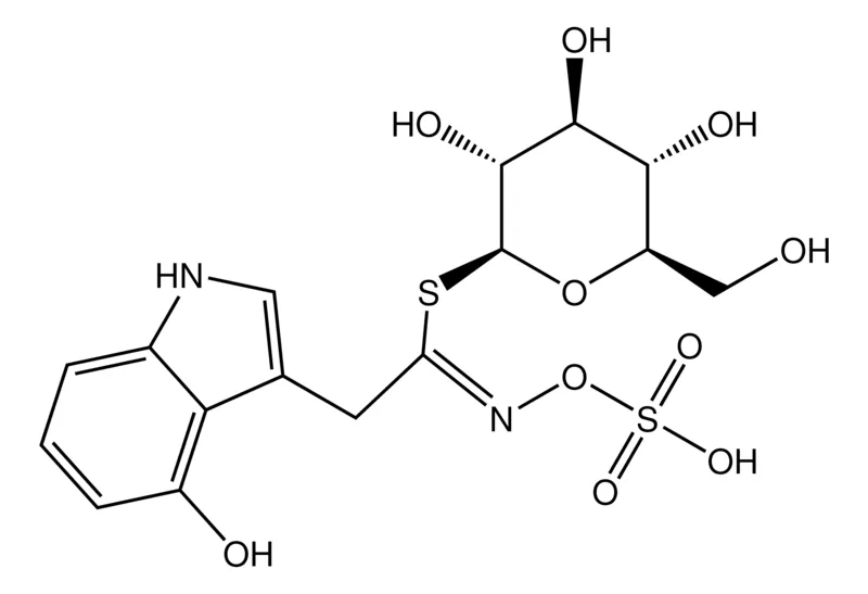 默克Supelco 4-Hydroxyglucobrassicin potassium salt，phyproof®参考物质