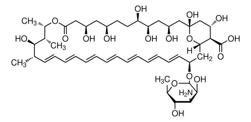 Sigma-Aldrich 两性霉素B 来源于链霉菌 属,效价:≥750 μ g/mg,粉末