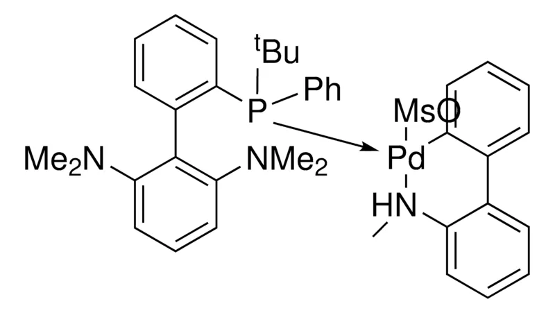 Sigma-Aldrich (t-Bu)PhCPhos Pd G4 ChemBeads,珠