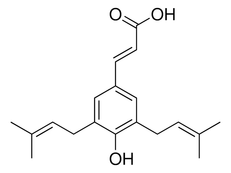 Sigma-Aldrich Artepillin C，≥98%（HPLC），粉末，CREB-CRTC2抑制剂