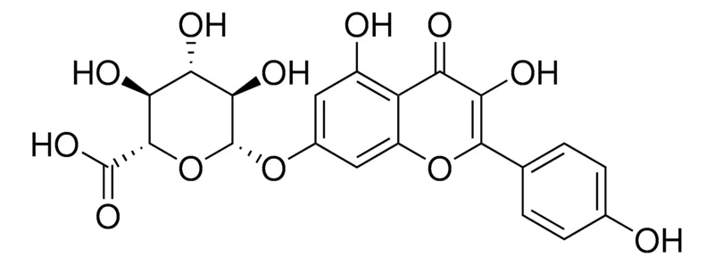 Sigma-Aldrich Kaempferol 7-O-glucuronide