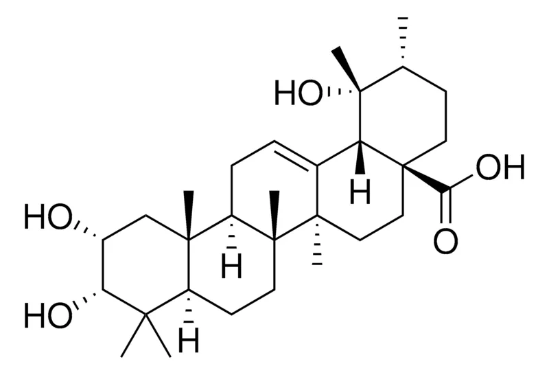 Sigma-Aldrich Euscaphic acid，≥98%（HPLC法），粉末，DNA聚合酶抑制剂
