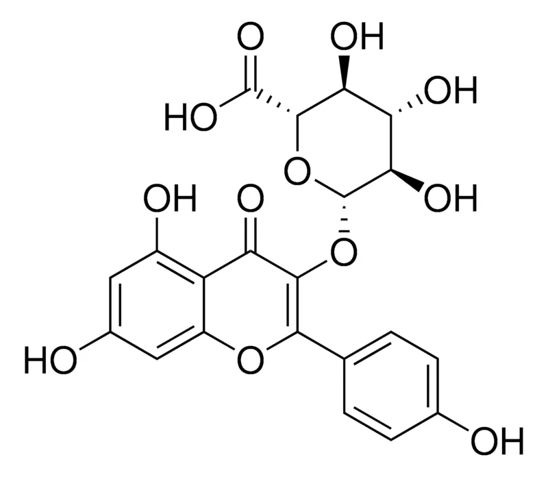 Sigma-Aldrich Kaempferol 3-O-glucuronide,≥95%