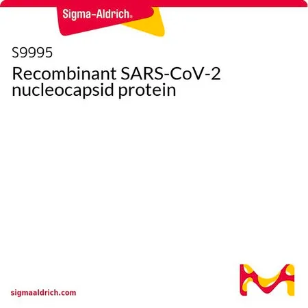 Sigma-Aldrich Recombinant SARS-CoV-2 nucleocapsid protein