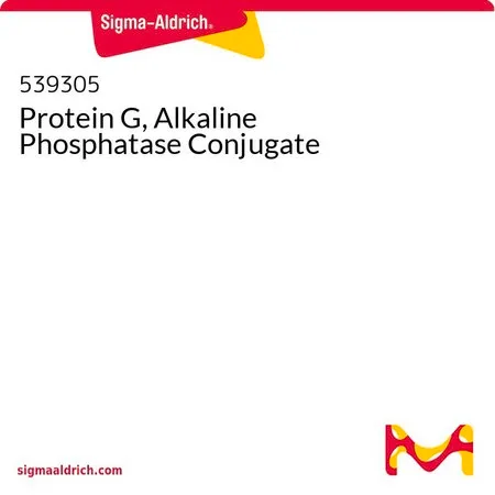 Sigma-Aldrich Protein G, Alkaline Phosphatase Conjugate