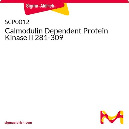 Sigma-Aldrich Calmodulin Dependent Protein Kinase II 281-309