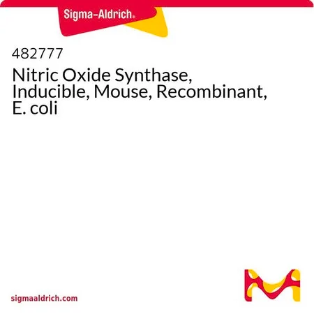 Sigma-Aldrich 一氧化氮合酶，诱导型，小鼠，重组，大肠埃希菌