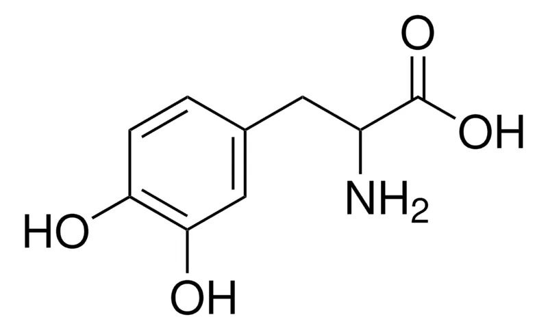 Sigma-Aldrich 3,4-二羟基- DL- 苯丙氨酸