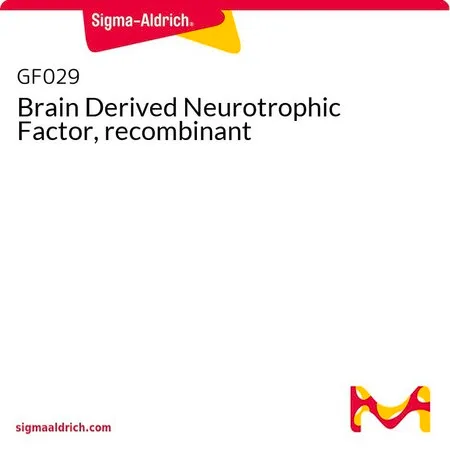 Sigma-Aldrich Brain Derived Neurotrophic Factor, recombinant