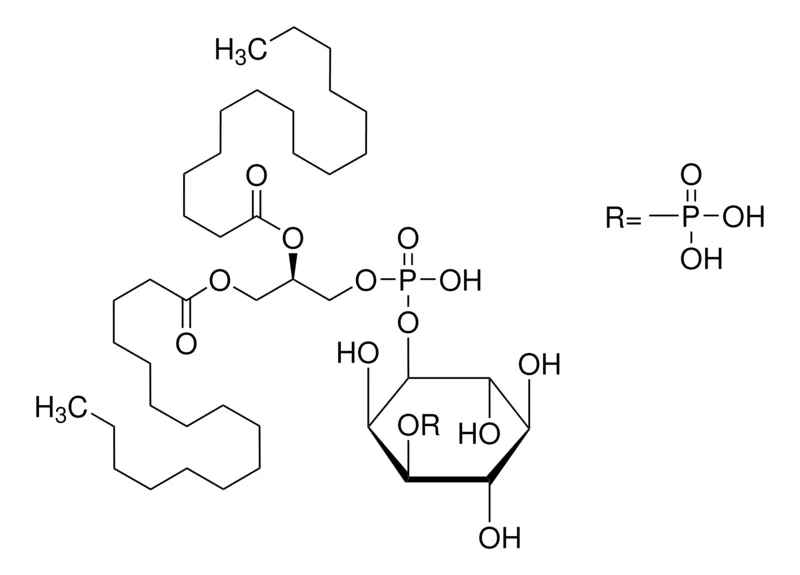 Sigma-Aldrich L-α-Phosphatidyl-D-myo-inositol 3-monophosphate, dipalmitoyl