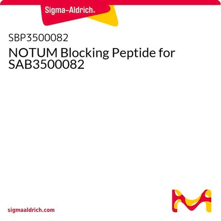 Sigma-Aldrich NOTUM Blocking Peptide for SAB3500082