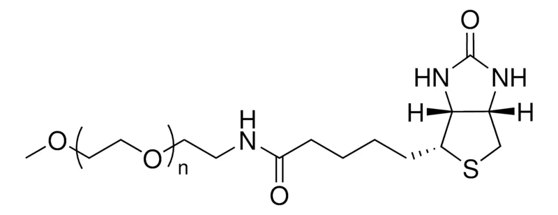 Sigma-Aldrich mPEG20K-Biotin，平均MN 20,000，生物素