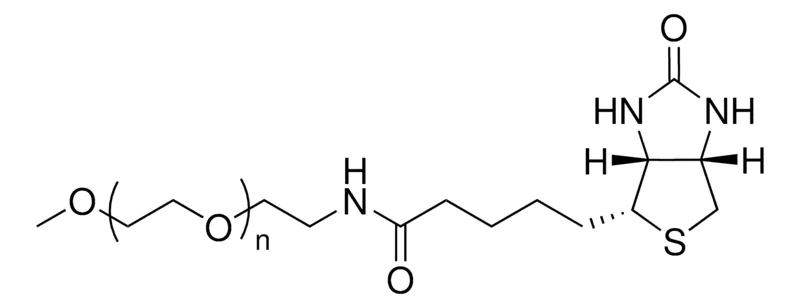 Sigma-Aldrich mPEG5K-Biotin，平均MN 5,000，生物素
