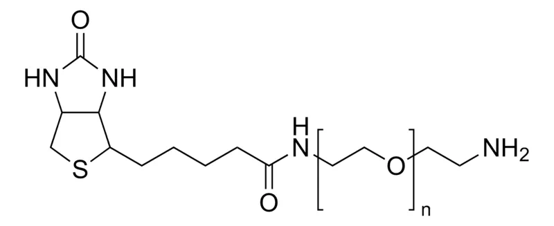 Sigma-Aldrich Poly(ethylene glycol) 2-aminoethyl ether biotin，平均Mn 3,700，交联剂羧基反应性，胺，生物素