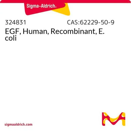 Sigma-Aldrich EGF,人,重组,大肠埃希菌,≥95%(SDS-PAGE),重组,在大肠杆菌中表达,固体,适用于细胞培养