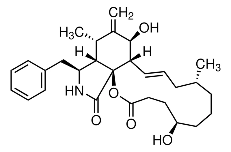 Sigma-Aldrich 二氢细胞松弛素 B