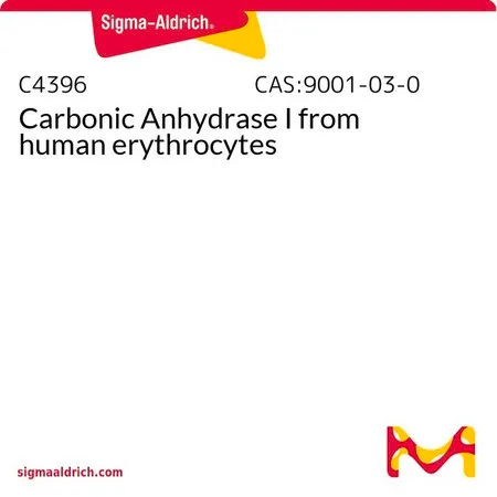 Sigma-Aldrich 碳酸酐酶I 来源于人类红细胞