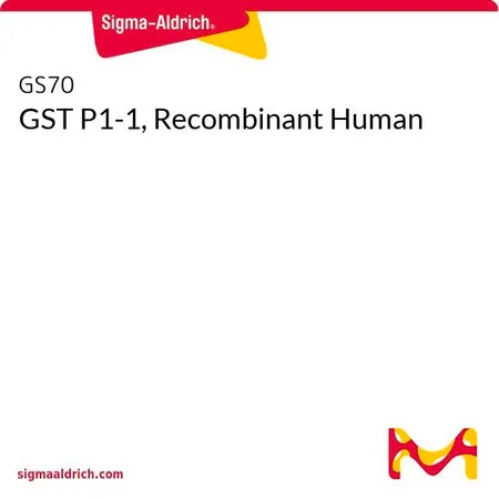 Sigma-Aldrich GST P1-1, Recombinant Human