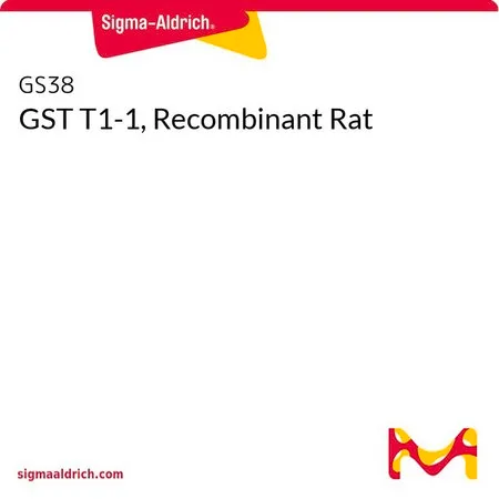 Sigma-Aldrich GST T1-1, Recombinant Rat