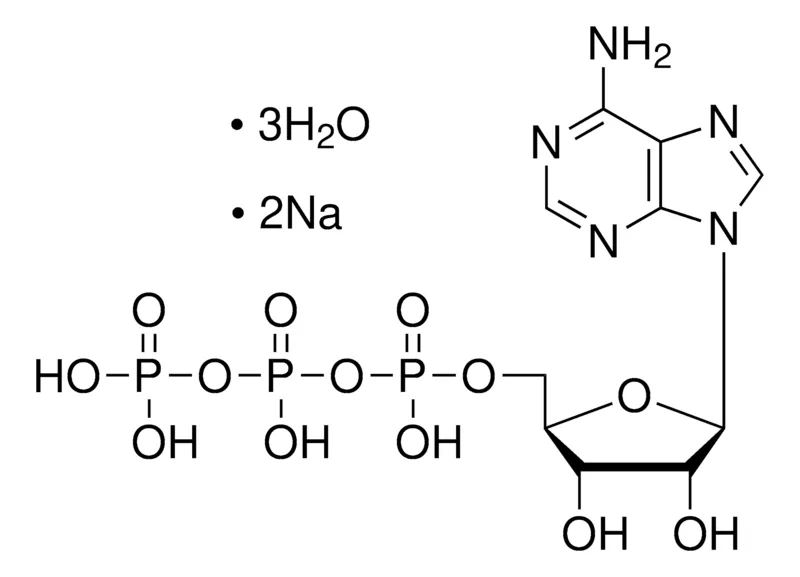 Sigma-Aldrich 腺苷5′-三磷酸 二钠盐 三水合物