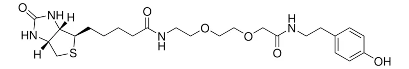 Sigma-Aldrich 生物素-AEEA-酪酰胺