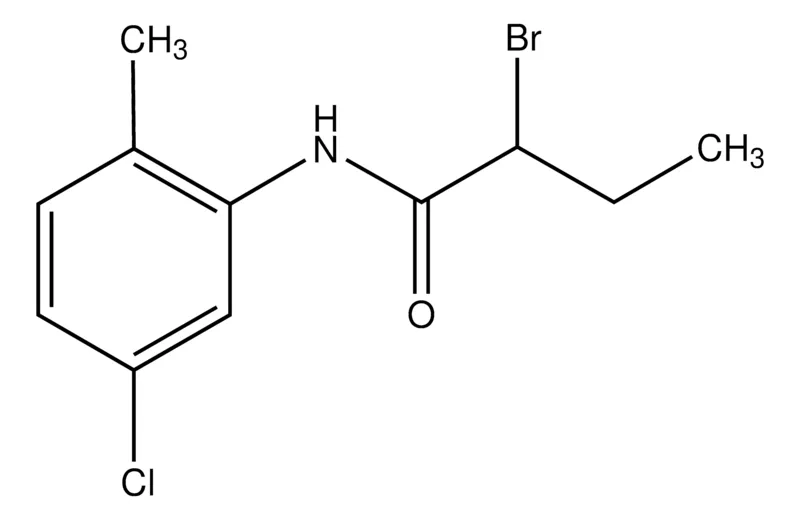 Sigma-Aldrich 2-Bromo-N-(5-chloro-2-methylphenyl)butanamide
