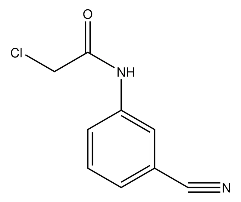 Sigma-Aldrich 2-Chloro-N-(3-cyanophenyl)acetamide