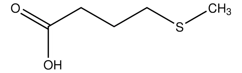 Sigma-Aldrich 4-(Methylthio)butanoic acid