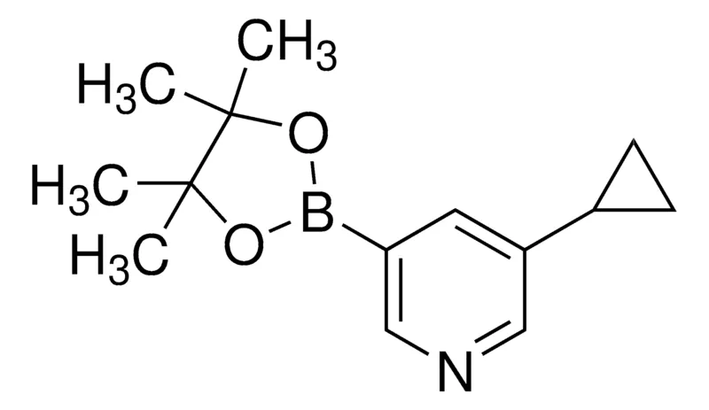 Sigma-Aldrich 3-Cyclopropyl-5-(4,4,5,5-tetramethyl-1,3,2-dioxaborolan-2-yl)pyridine