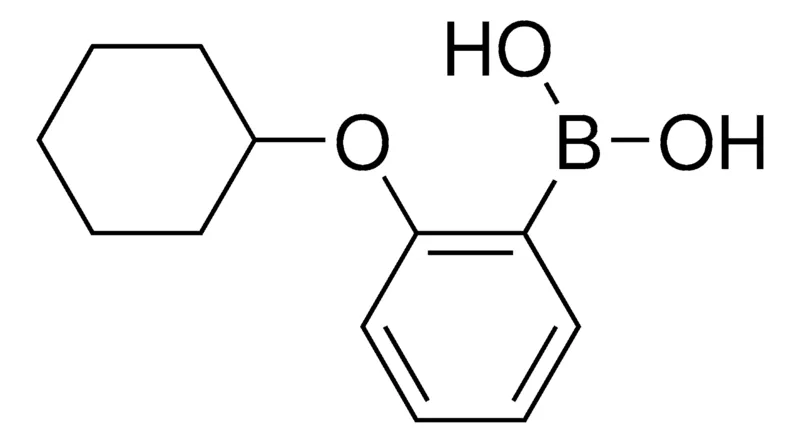 Sigma-Aldrich 2-(Cyclohexyloxy)phenylboronic acid