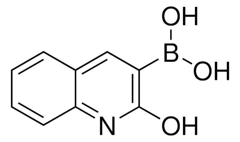 Sigma-Aldrich 2-Hydroxyquinolin-3-ylboronic acid