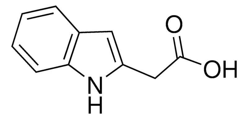 Sigma-Aldrich Indole-2-acetic acid