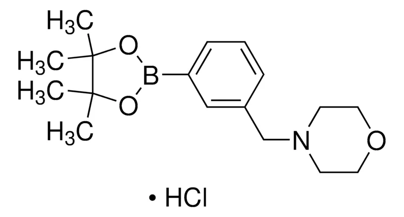 Sigma-Aldrich 3-(4-Morpholinomethyl)phenylboronic acid, pinacol ester hydrochloride