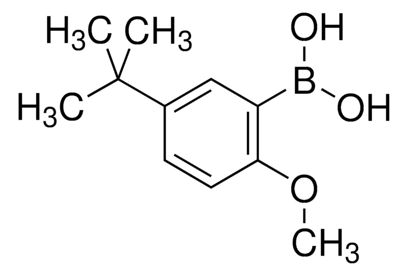 Sigma-Aldrich 5-tert-Butyl-2-methoxyphenylboronic acid