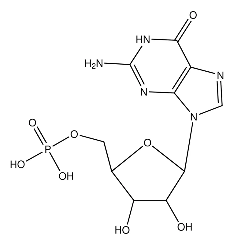 Sigma-Aldrich (5-(2-氨基-6-氧代-1H-嘌呤-9(6H)-基)-3,4-二羟基四氢呋喃-2-基)甲基二氢磷酸