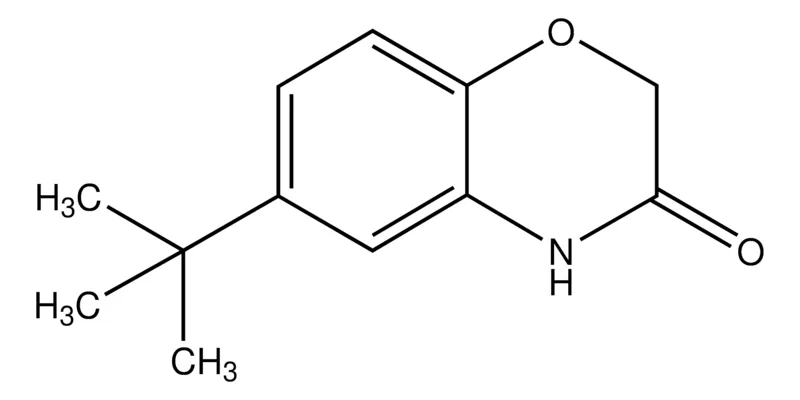 Sigma-Aldrich 6-tert-butyl-2H-benzo[b][1,4]oxazin-3(4H)-one