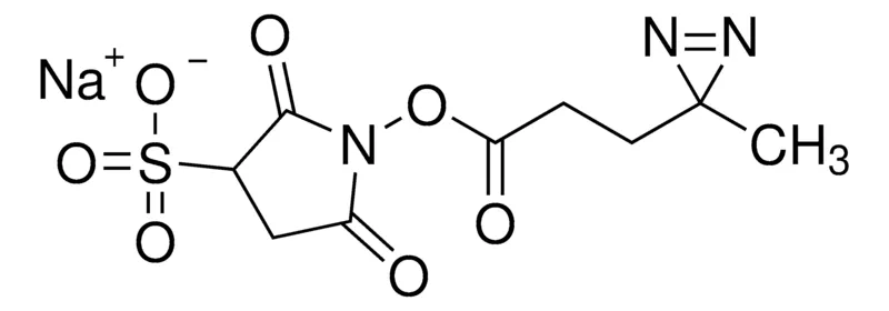 Sigma-Aldrich 磺基-SDA(磺基-NHS-二氮嗪)(磺基琥珀酸酯基4,4′-氮戊酸酯)