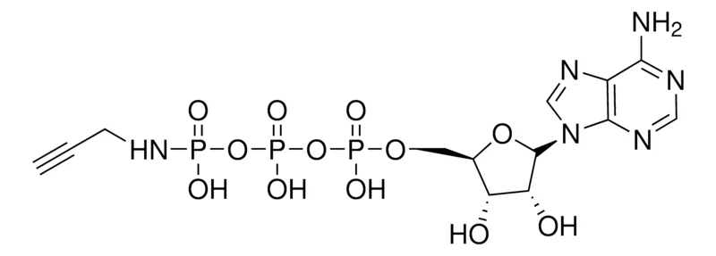 Sigma-Aldrich γ-[（炔丙基）-亚氨基]-ATP 钠盐