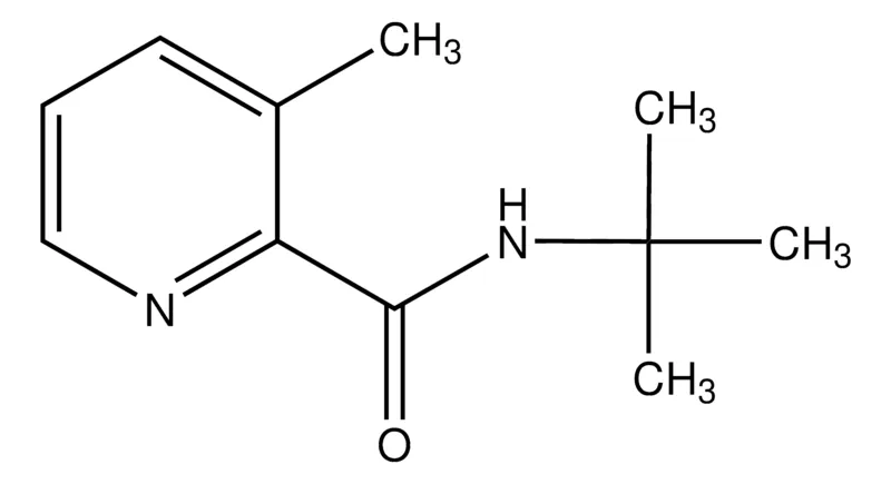 Sigma-Aldrich N-tert-Butyl-3-methylpyridine-2-carboxamide