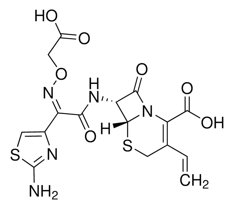 Sigma-Aldrich 头孢克肟