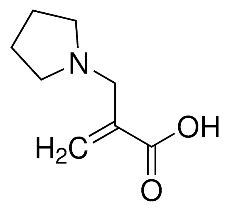 Sigma-Aldrich 2-Pyrrolidin-1-ylmethyl-acrylic acid